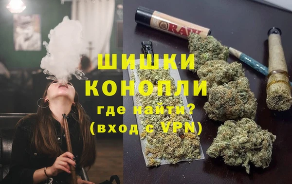 сатива Переславль-Залесский