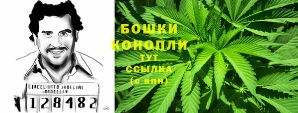 мяу мяу кристалл Покачи