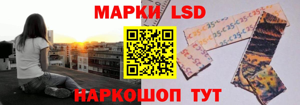 Бердск  Лсд 25 экстази ecstasy  Вход с VPN 