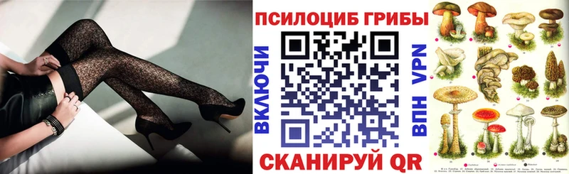 Галлюциногенные грибы ЛСД Бердск