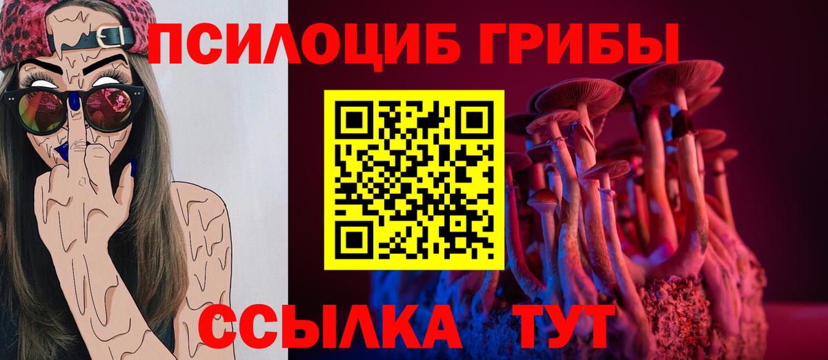 дарнет шоп  Вход с VPN  Бердск  Псилоцибиновые грибы ЛСД 