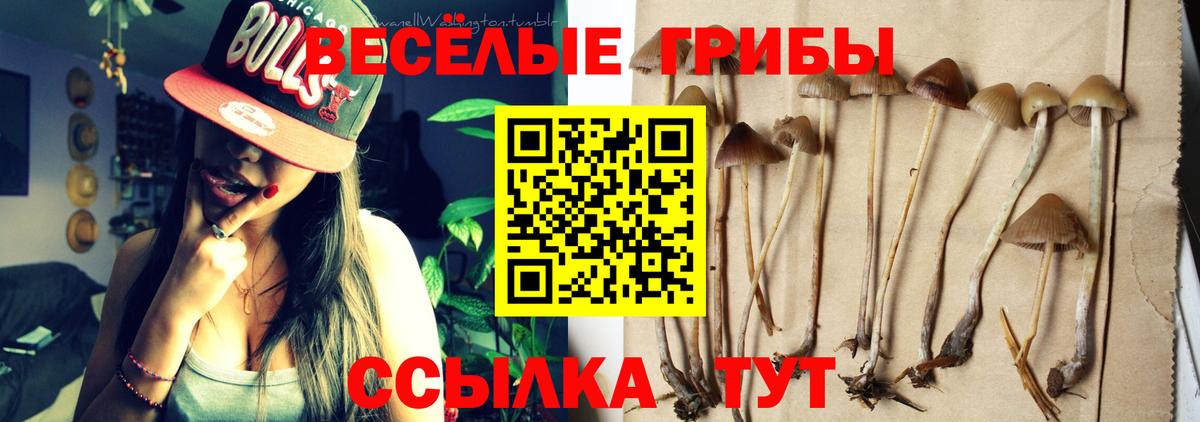 Галлюциногенные грибы мухоморы Бердск